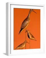 Shore Bird Decoys, USA-Gavriel Jecan-Framed Photographic Print