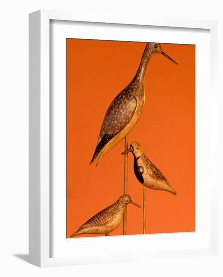 Shore Bird Decoys, USA-Gavriel Jecan-Framed Photographic Print