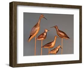 Shore Bird Decoys, USA-Gavriel Jecan-Framed Photographic Print