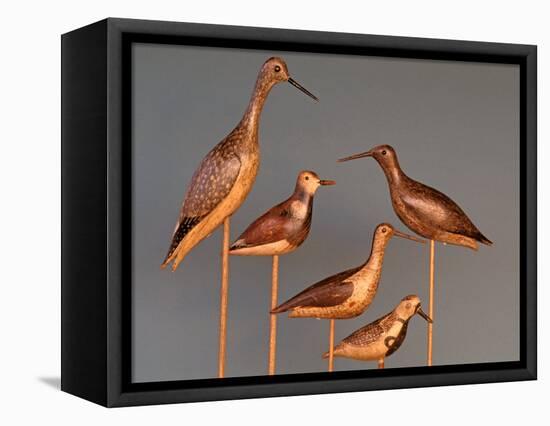 Shore Bird Decoys, USA-Gavriel Jecan-Framed Stretched Canvas