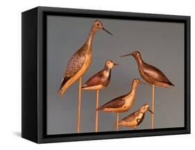 Shore Bird Decoys, USA-Gavriel Jecan-Framed Stretched Canvas