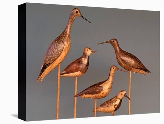 Shore Bird Decoys, USA-Gavriel Jecan-Stretched Canvas