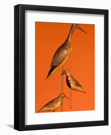 Shore Bird Decoys, USA-Gavriel Jecan-Framed Premium Photographic Print