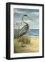 Shore Bird I-Ethan Harper-Framed Art Print