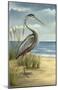 Shore Bird I-Ethan Harper-Mounted Art Print
