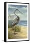 Shore Bird I-Ethan Harper-Framed Stretched Canvas