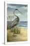 Shore Bird I-Ethan Harper-Stretched Canvas