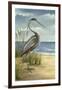 Shore Bird I-Ethan Harper-Framed Art Print