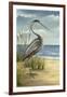 Shore Bird I-Ethan Harper-Framed Art Print