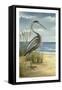 Shore Bird I-Ethan Harper-Framed Stretched Canvas