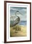 Shore Bird I-Ethan Harper-Framed Art Print