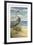 Shore Bird I-Ethan Harper-Framed Art Print