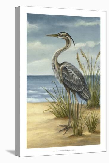 Shore Bird II-Ethan Harper-Stretched Canvas