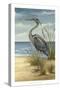 Shore Bird II-Ethan Harper-Stretched Canvas