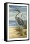 Shore Bird II-Ethan Harper-Framed Stretched Canvas