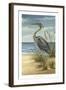 Shore Bird II-Ethan Harper-Framed Art Print