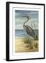 Shore Bird II-Ethan Harper-Framed Art Print