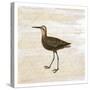 Shore Birds 2-Kimberly Allen-Stretched Canvas