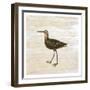 Shore Birds 2-Kimberly Allen-Framed Art Print