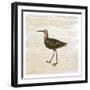 Shore Birds 2-Kimberly Allen-Framed Art Print