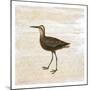 Shore Birds 2-Kimberly Allen-Mounted Art Print