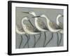 Shore Birds I-Norman Wyatt Jr^-Framed Art Print