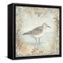 Shore Birds I-Kate McRostie-Framed Stretched Canvas