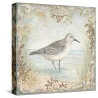 Shore Birds I-Kate McRostie-Stretched Canvas