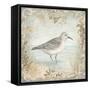 Shore Birds I-Kate McRostie-Framed Stretched Canvas