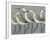 Shore Birds I-Norman Wyatt Jr.-Framed Art Print