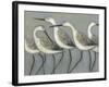 Shore Birds I-Norman Wyatt Jr.-Framed Art Print