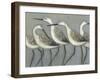 Shore Birds I-Norman Wyatt Jr.-Framed Art Print