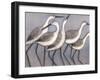 Shore Birds II-Norman Wyatt Jr^-Framed Art Print