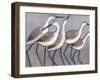 Shore Birds II-Norman Wyatt Jr^-Framed Art Print