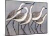 Shore Birds II-Norman Wyatt Jr^-Mounted Art Print