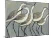 Shore Birds II-Norman Wyatt Jr.-Mounted Art Print