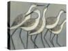 Shore Birds II-Norman Wyatt Jr.-Stretched Canvas