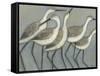 Shore Birds II-Norman Wyatt Jr.-Framed Stretched Canvas