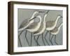 Shore Birds II-Norman Wyatt Jr.-Framed Art Print