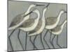 Shore Birds II-Norman Wyatt Jr.-Mounted Art Print