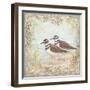 Shore Birds II-Kate McRostie-Framed Art Print