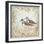 Shore Birds II-Kate McRostie-Framed Art Print