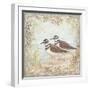 Shore Birds II-Kate McRostie-Framed Art Print