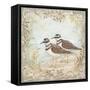 Shore Birds II-Kate McRostie-Framed Stretched Canvas