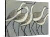 Shore Birds II-Norman Wyatt Jr.-Stretched Canvas