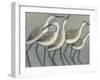 Shore Birds II-Norman Wyatt Jr.-Framed Art Print