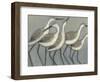 Shore Birds II-Norman Wyatt Jr.-Framed Premium Giclee Print