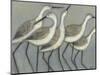 Shore Birds II-Norman Wyatt Jr.-Mounted Premium Giclee Print