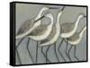 Shore Birds II-Norman Wyatt Jr.-Framed Stretched Canvas