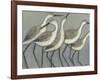 Shore Birds II-Norman Wyatt Jr.-Framed Art Print